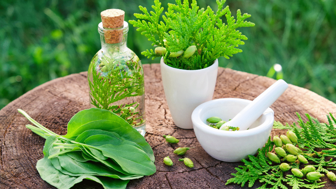 ¿Qué es la Naturopatía Clásica? Principios y prácticas para una salud integral
