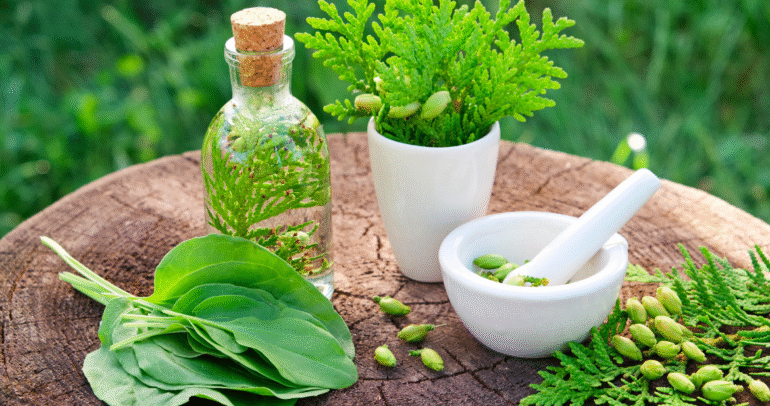 ¿Qué es la Naturopatía Clásica? Principios y prácticas para una salud integral