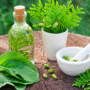 ¿Qué es la Naturopatía Clásica? Principios y prácticas para una salud integral